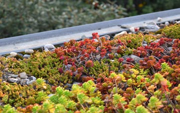 the cost of Balephetrish green roof installation