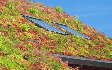 Balephetrish living roof systems
